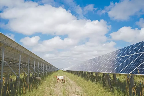 湖北豪门国际官网绿色能源有限公司