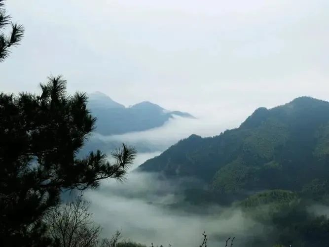 湖北豪门国际官网绿色能源有限公司